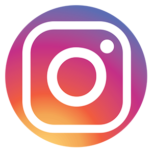 Icone Instagram
