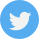 Icone Twitter